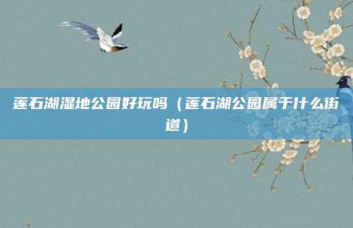莲石湖湿地公园好玩吗(莲石湖公园属于什么街道)