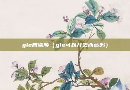 gle自驾游(gle可以开去西藏吗)
