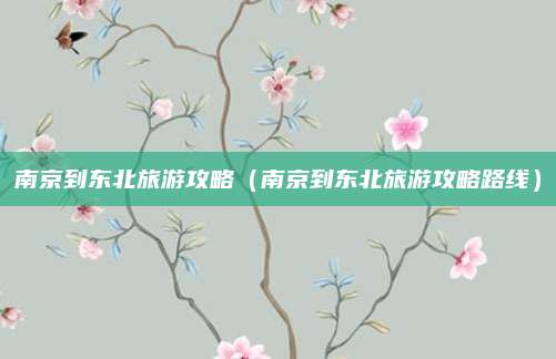 南京到东北旅游攻略（南京到东北旅游攻略路线）