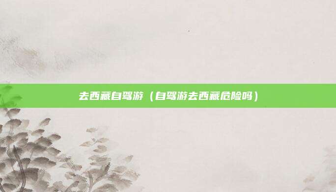 去西藏自驾游(自驾游去西藏危险吗)