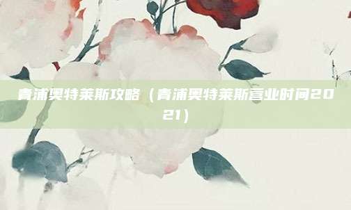 青浦奥特莱斯攻略(青浦奥特莱斯营业时间2021)
