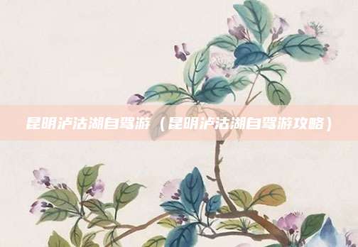 昆明泸沽湖自驾游(昆明泸沽湖自驾游攻略)