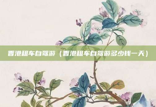 香港租车自驾游(香港租车自驾游多少钱一天)