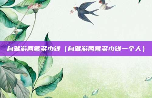 自驾游西藏多少钱(自驾游西藏多少钱一个人)