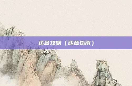 违章攻略(违章指南)