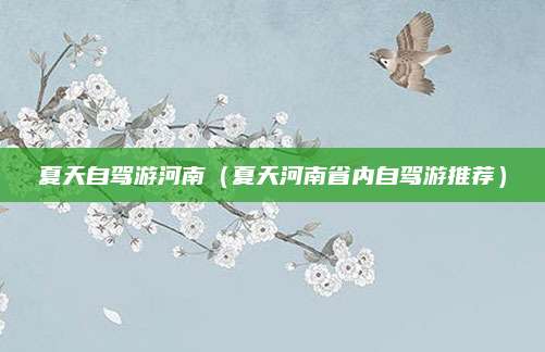 夏天自驾游河南(夏天河南省内自驾游推荐)