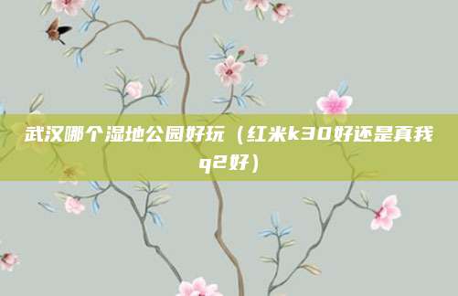 武汉哪个湿地公园好玩（红米k30好还是真我q2好）