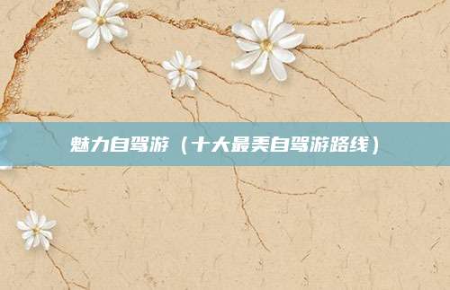 魅力自驾游（十大最美自驾游路线）