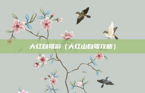 大红自驾游(大红山自驾攻略)