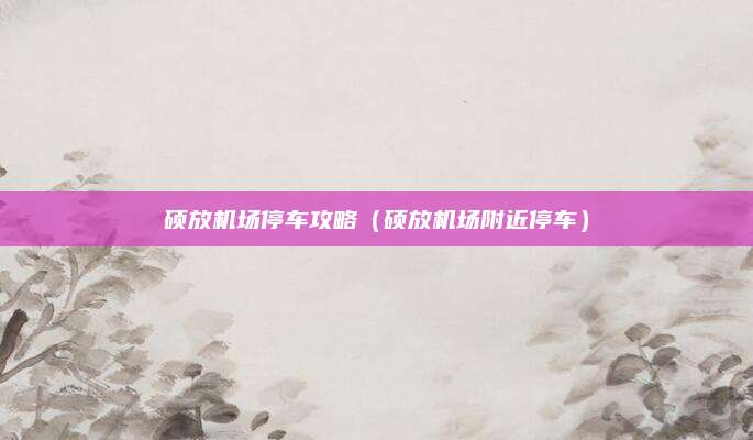 硕放机场停车攻略（硕放机场附近停车）