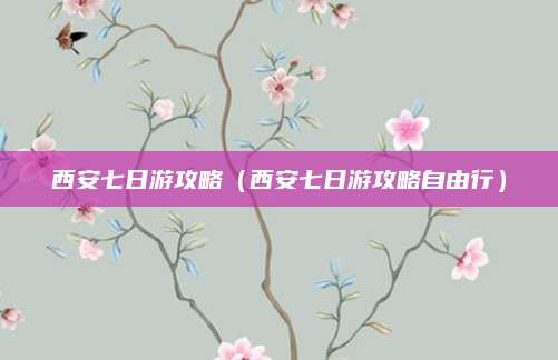 西安七日游攻略（西安七日游攻略自由行）