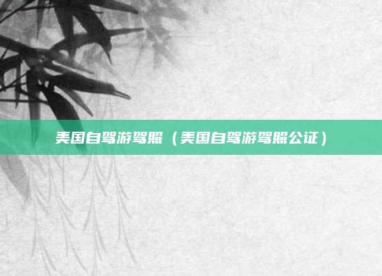 美国自驾游驾照(美国自驾游驾照公证)