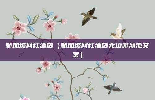 新加坡网红酒店（新加坡网红酒店无边游泳池文案）
