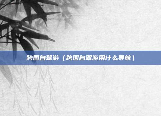 跨国自驾游(跨国自驾游用什么导航)