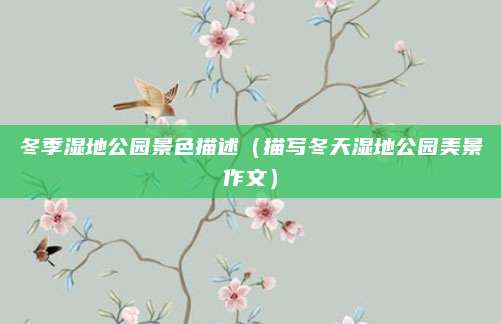 冬季湿地公园景色描述(描写冬天湿地公园美景作文)