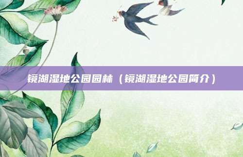 镜湖湿地公园园林(镜湖湿地公园简介)