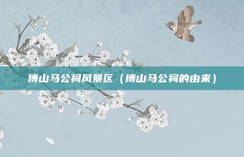 博山马公祠风景区(博山马公祠的由来)