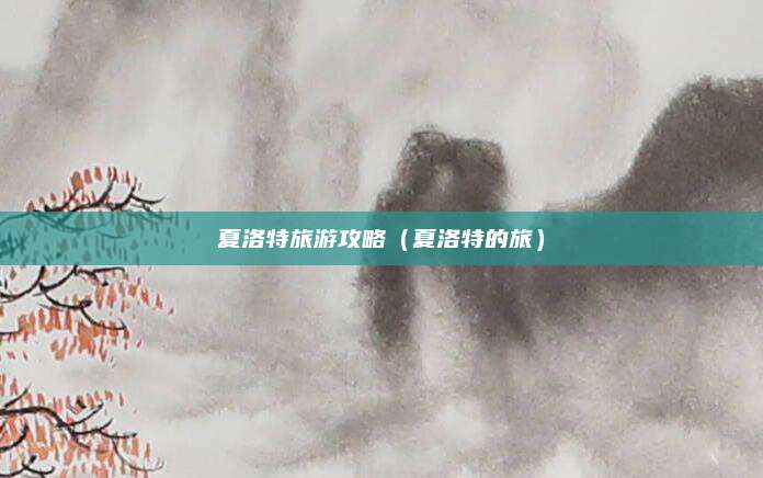 夏洛特旅游攻略（夏洛特的旅）