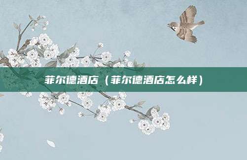 菲尔德酒店(菲尔德酒店怎么样)