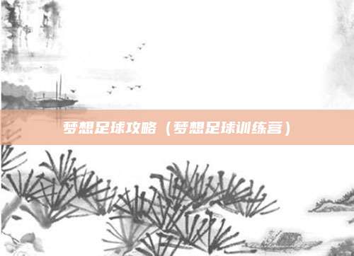梦想足球攻略(梦想足球训练营)
