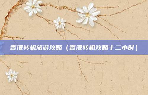 香港转机旅游攻略(香港转机攻略十二小时)