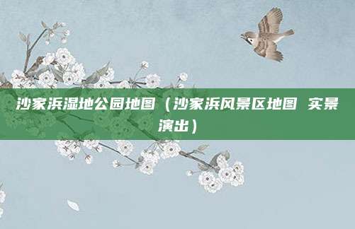 沙家浜湿地公园地图（沙家浜风景区地图 实景演出）