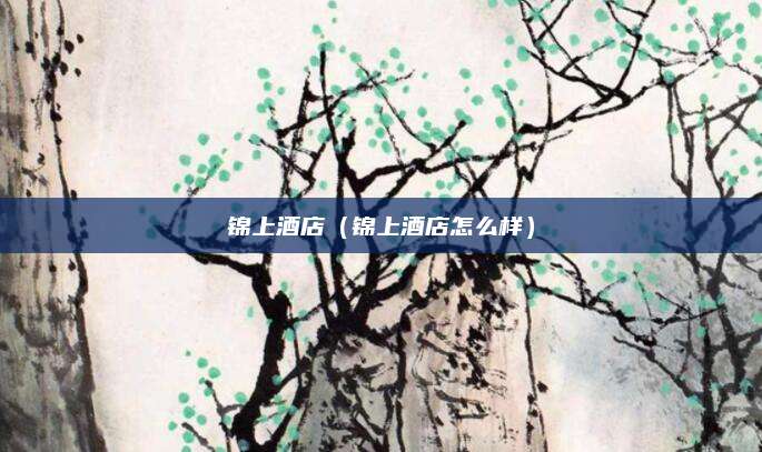 锦上酒店(锦上酒店怎么样)