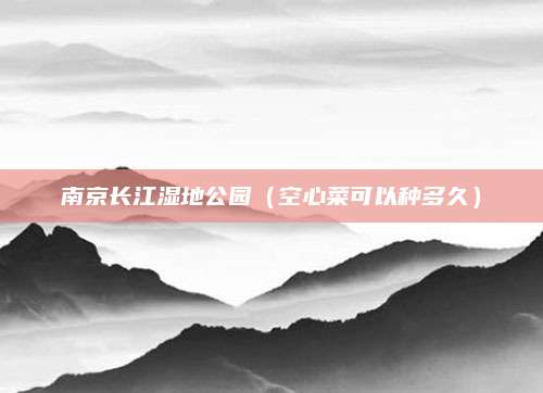 南京长江湿地公园（空心菜可以种多久）