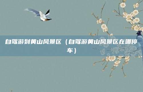 自驾游到黄山风景区(自驾游黄山风景区在哪停车)