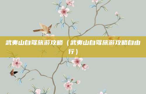 武夷山自驾旅游攻略(武夷山自驾旅游攻略自由行)