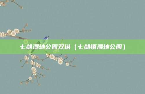 七都湿地公园双塔（七都镇湿地公园）