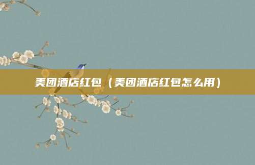 美团酒店红包(美团酒店红包怎么用)