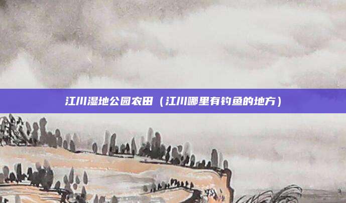 江川湿地公园农田（江川哪里有钓鱼的地方）