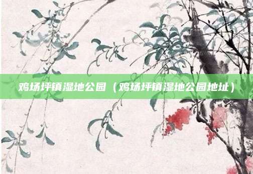 鸡场坪镇湿地公园(鸡场坪镇湿地公园地址)