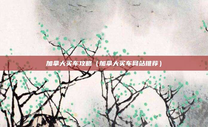 加拿大买车攻略(加拿大买车网站推荐)