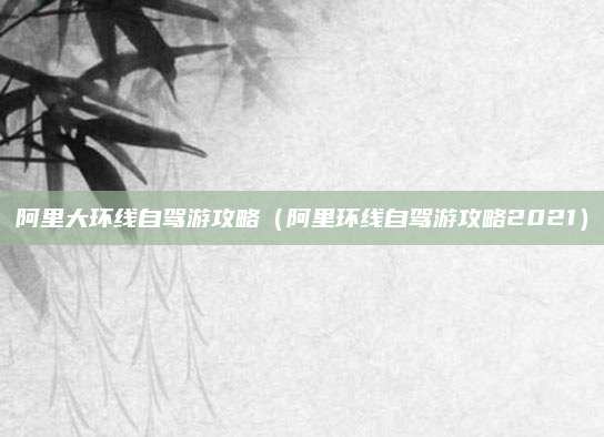阿里大环线自驾游攻略(阿里环线自驾游攻略2021)