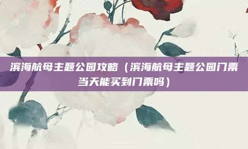 滨海航母主题公园攻略（滨海航母主题公园门票当天能买到门票吗）