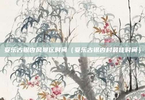妥乐古银杏风景区时间（妥乐古银杏村最佳时间）