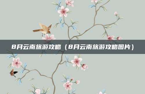 8月云南旅游攻略(8月云南旅游攻略图片)