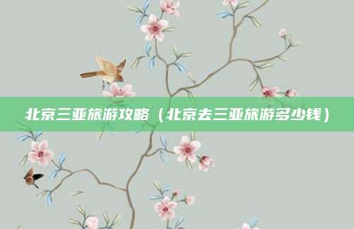 北京三亚旅游攻略(北京去三亚旅游多少钱)