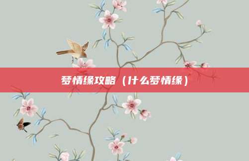 梦情缘攻略(什么梦情缘)