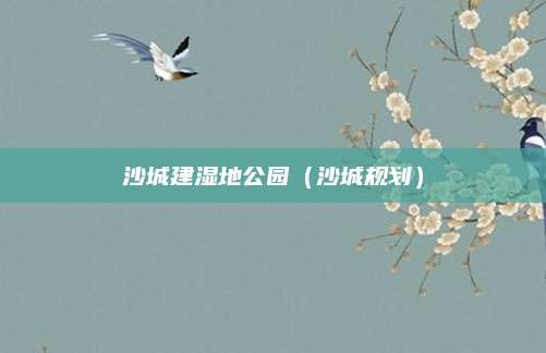 沙城建湿地公园（沙城规划）