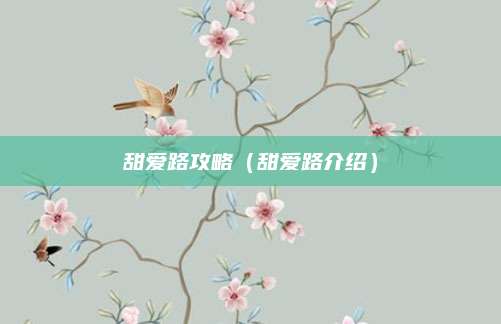 甜爱路攻略(甜爱路介绍)