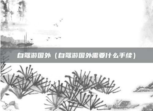 自驾游国外（自驾游国外需要什么手续）