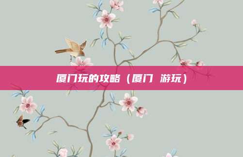 厦门玩的攻略（厦门 游玩）
