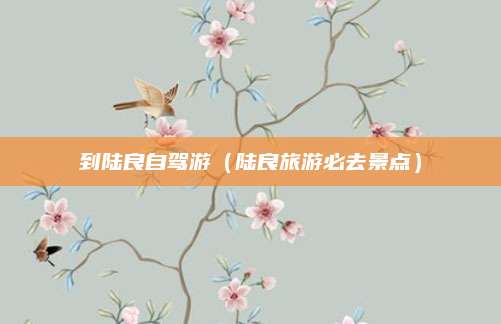 到陆良自驾游(陆良旅游必去景点)