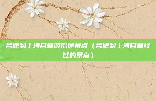 合肥到上海自驾游沿途景点(合肥到上海自驾经过的景点)