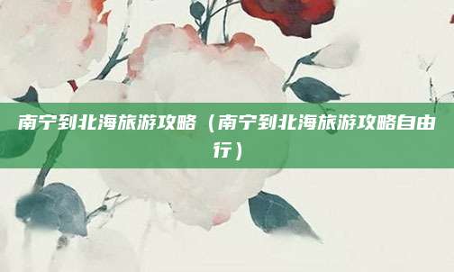 南宁到北海旅游攻略(南宁到北海旅游攻略自由行)