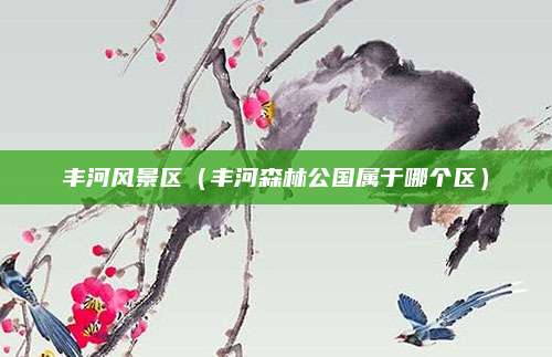 丰河风景区(丰河森林公国属于哪个区)