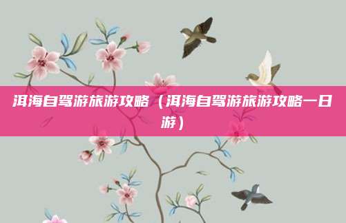 洱海自驾游旅游攻略(洱海自驾游旅游攻略一日游)